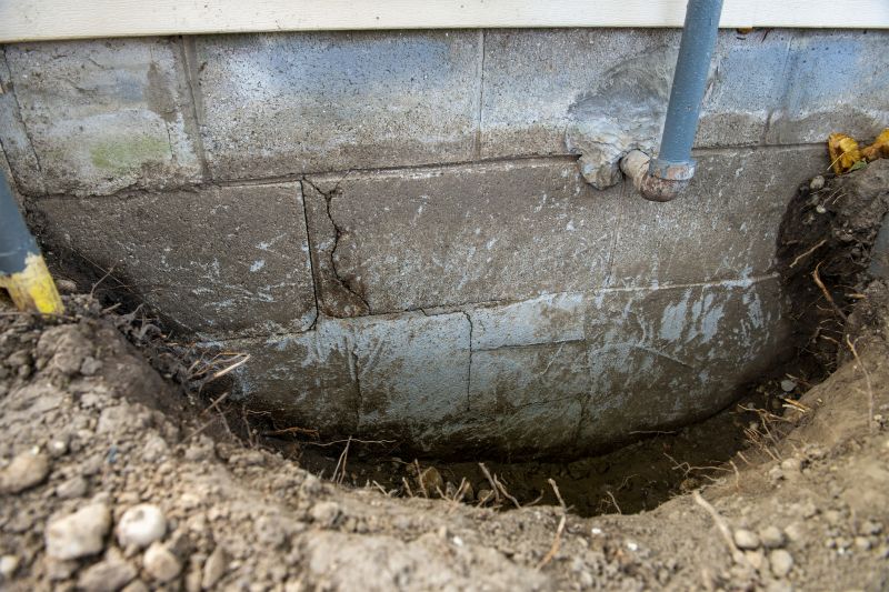 Signs You Need Soil Replacement